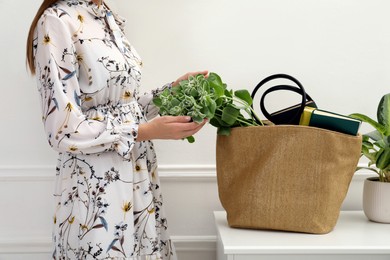 Woman putting plant in beach bag indoors, closeup
