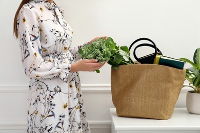 Photo of Woman putting plant in beach bag indoors, closeup