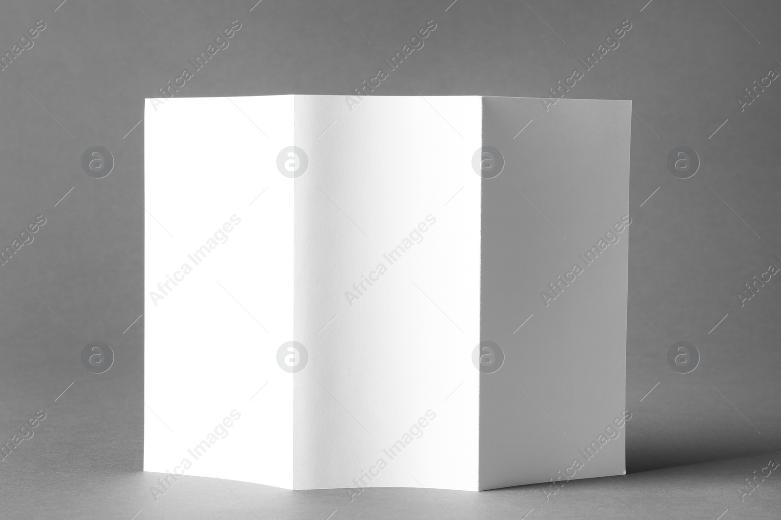 Photo of Blank brochure mock up on color background