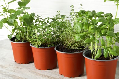 Photo of Different aromatic potted herbs on light wooden table, closeup