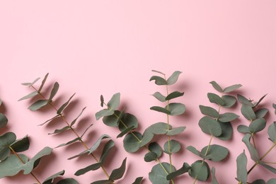Photo of Eucalyptus branches with fresh leaves on pink background, flat lay. Space for text
