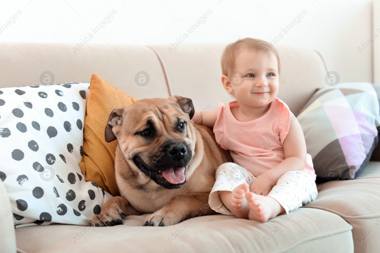Photo of Cute little child with dog on couch at home