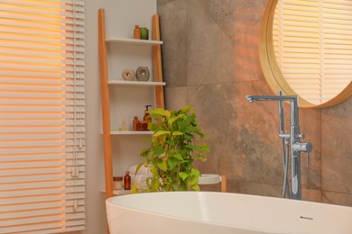 Photo of Spa day. Stylish bathroom interior with ceramic tub, mirror and green houseplant