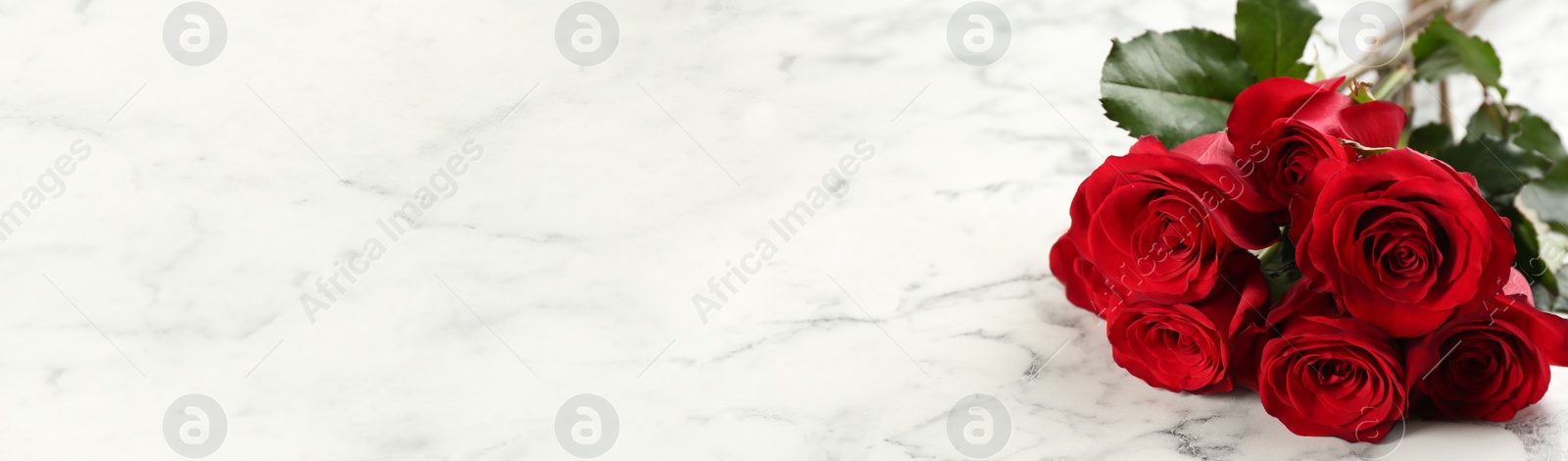 Image of Beautiful red roses on white marble table, space for text. Valentine's Day banner design