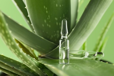 Skincare ampoules on aloe vera against light green background, closeup