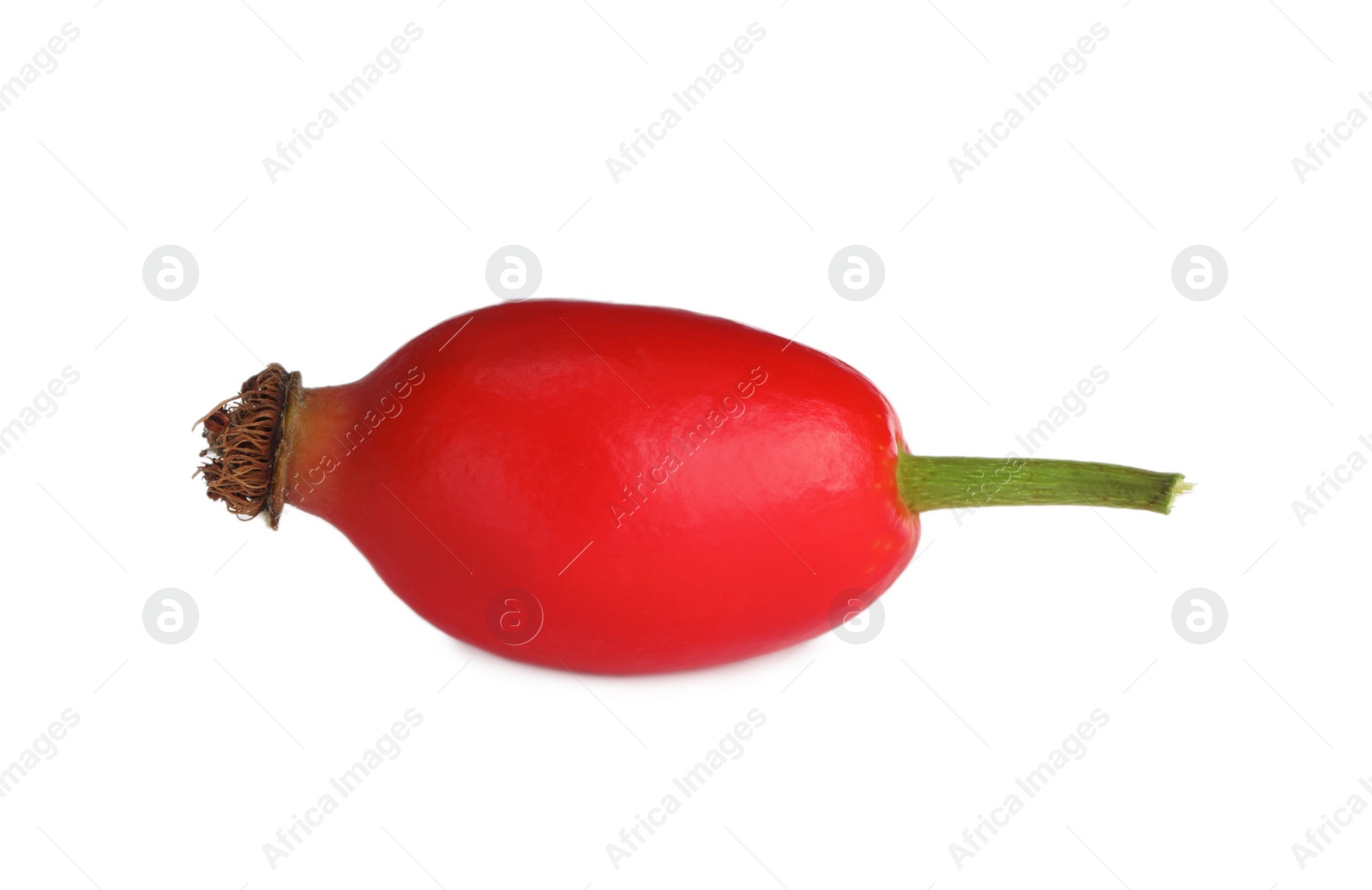 Photo of Ripe rose hip berry isolated on white