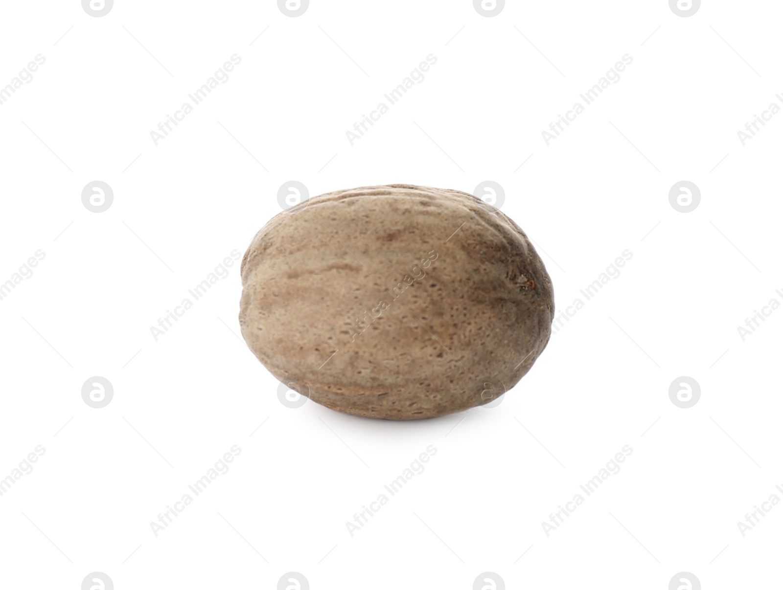 Photo of One whole nutmeg seed isolated on white