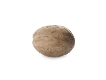 One whole nutmeg seed isolated on white