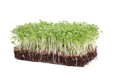 Photo of Fresh organic microgreen in soil on white background