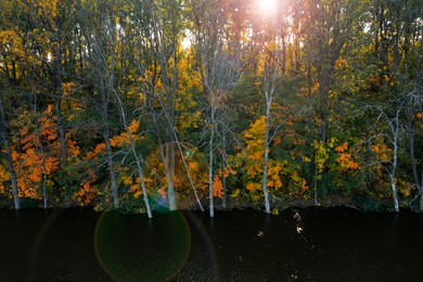Image of Beautiful view of autumn forest on riverbank
