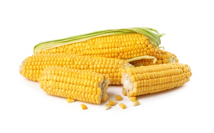 Photo of Ripe raw corn cobs on white background