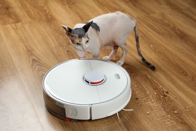 Photo of Robotic vacuum cleaner and cute Sphynx cat on wooden floor