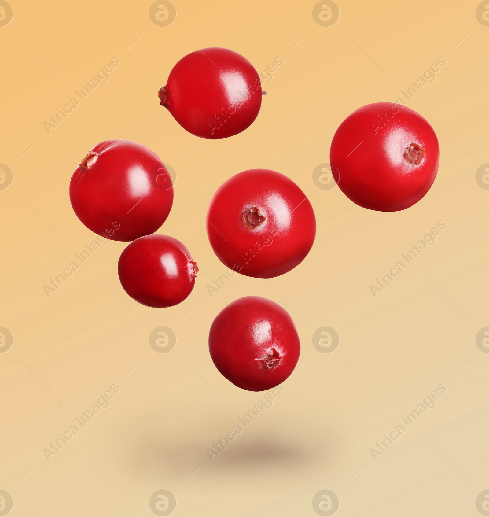 Image of Delicious ripe cranberries falling on color background