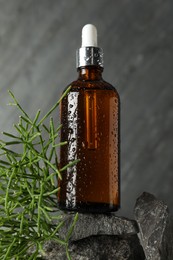 Photo of Bottle of hydrophilic oil and green plant on rocks against grey background, closeup
