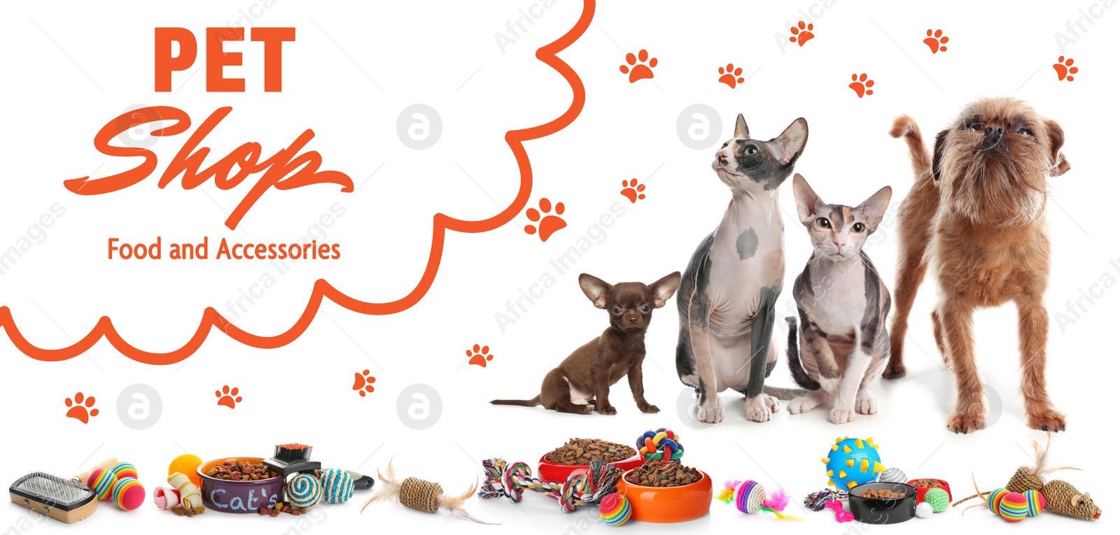 Image of Advertising banner design for pet shop. Cute dogs, cats and different accessories on white background