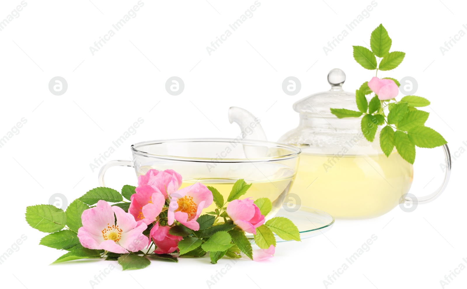 Photo of Aromatic herbal tea in glass cup, teapot, flowers and green leaves isolated on white