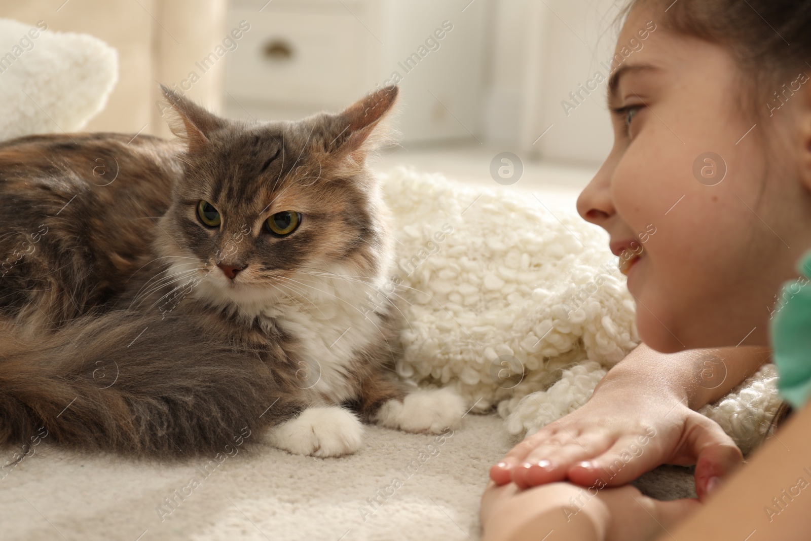 Photo of Cute little girl with cat lying on carpet at home, closeup. First pet