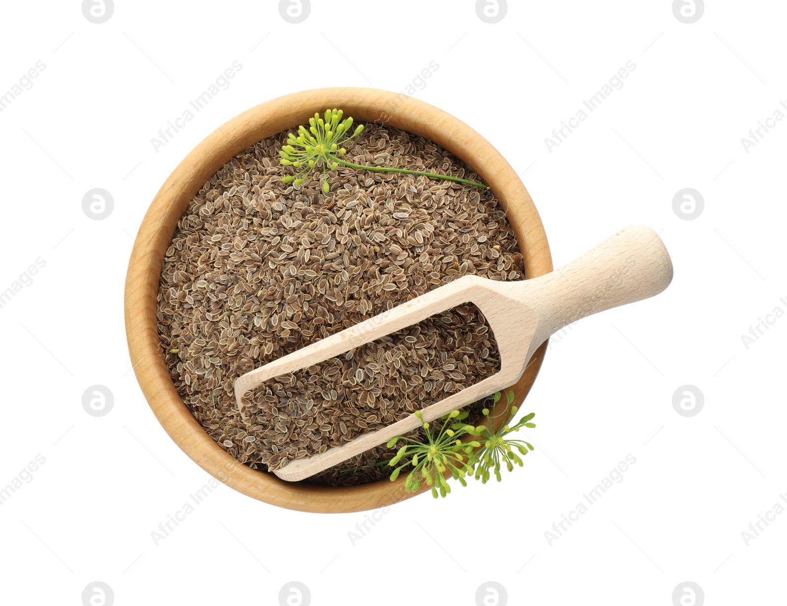 Photo of Bowl of dry seeds, fresh dill and scoop isolated on white, top view