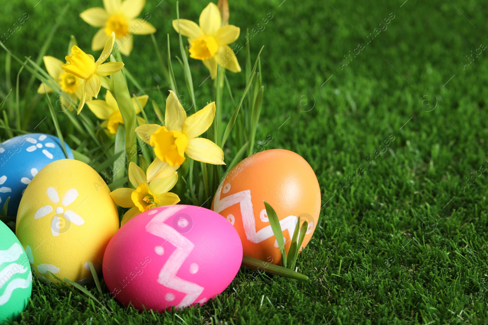 Photo of Colorful Easter eggs and daffodil flowers in green grass