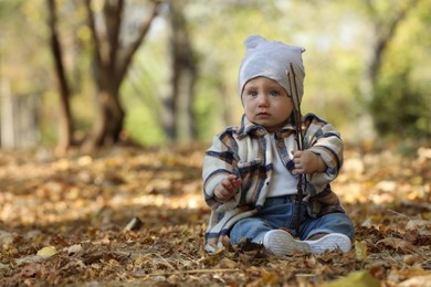 Cute little child on ground with dry leaves in autumn park, space for text