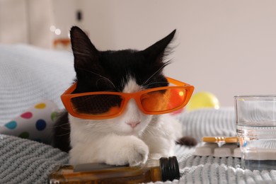 Photo of Cute cat with sunglasses and bottle of whiskey near hangover medicines on bed