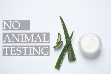 Image of Jar of cream, aloe and text NO ANIMAL TESTING on white background, flat lay