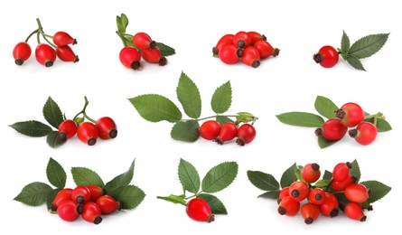 Image of Set with ripe rose hip berries on white background