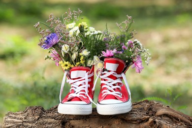 Photo of Beautiful flowers in shoes on log outdoors