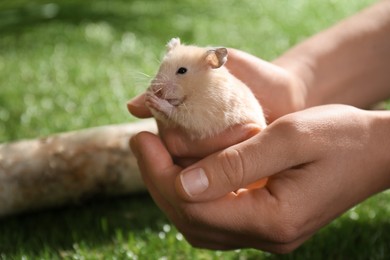 Woman with cute little hamster outdoors, closeup. Space for text