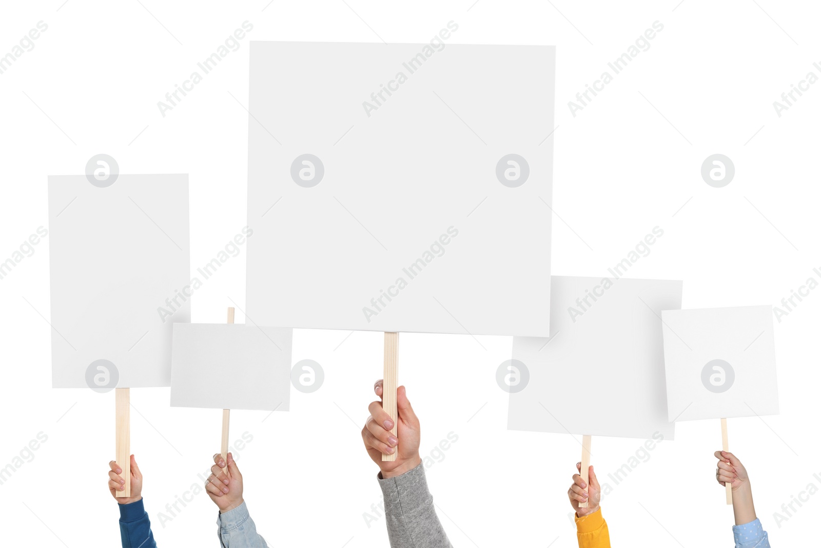 Image of Group of people holding blank protest signs on white background, closeup