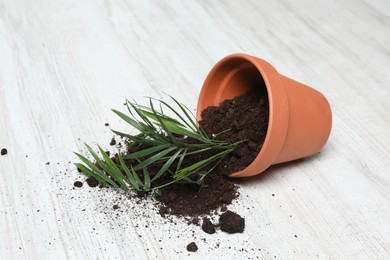 Photo of Overturned terracotta flower pot with soil and plant on white wooden floor