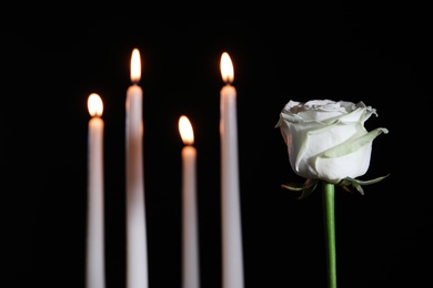 Photo of White rose and blurred burning candles in darkness, space for text. Funeral symbol