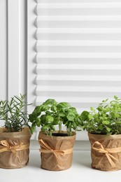 Photo of Different aromatic potted herbs on windowsill indoors. Space for text