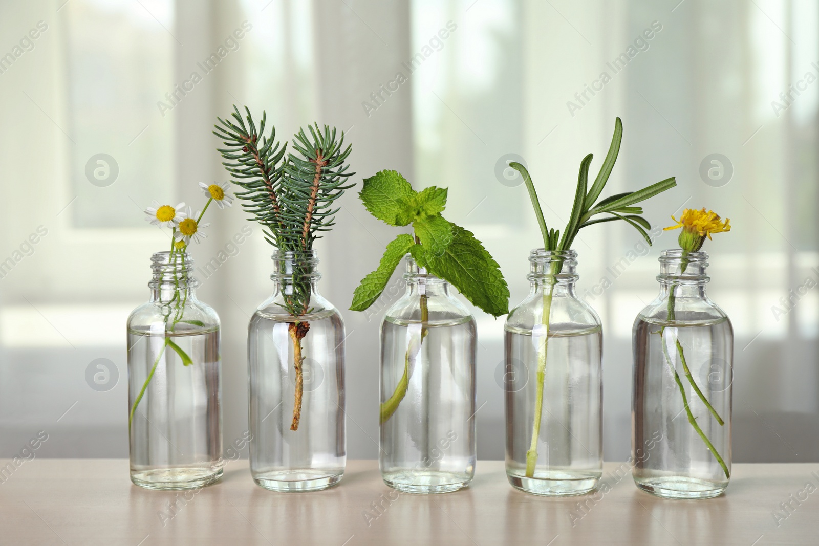 Photo of Glass bottles of different essential oils with plants on table