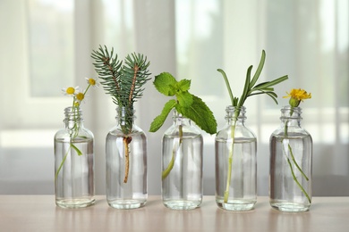 Glass bottles of different essential oils with plants on table