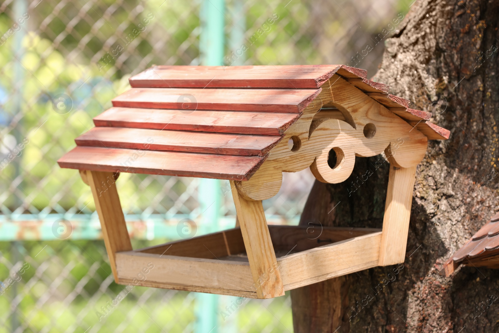 Photo of Cute wooden bird house on tree outdoors