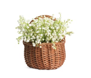 Wicker basket with beautiful lily of the valley flowers isolated on white