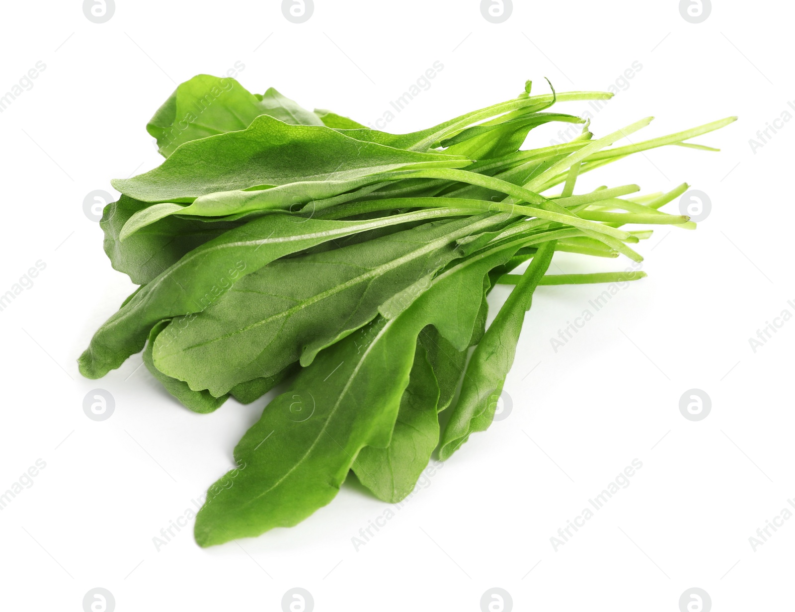 Photo of Fresh green arugula leaves on white background