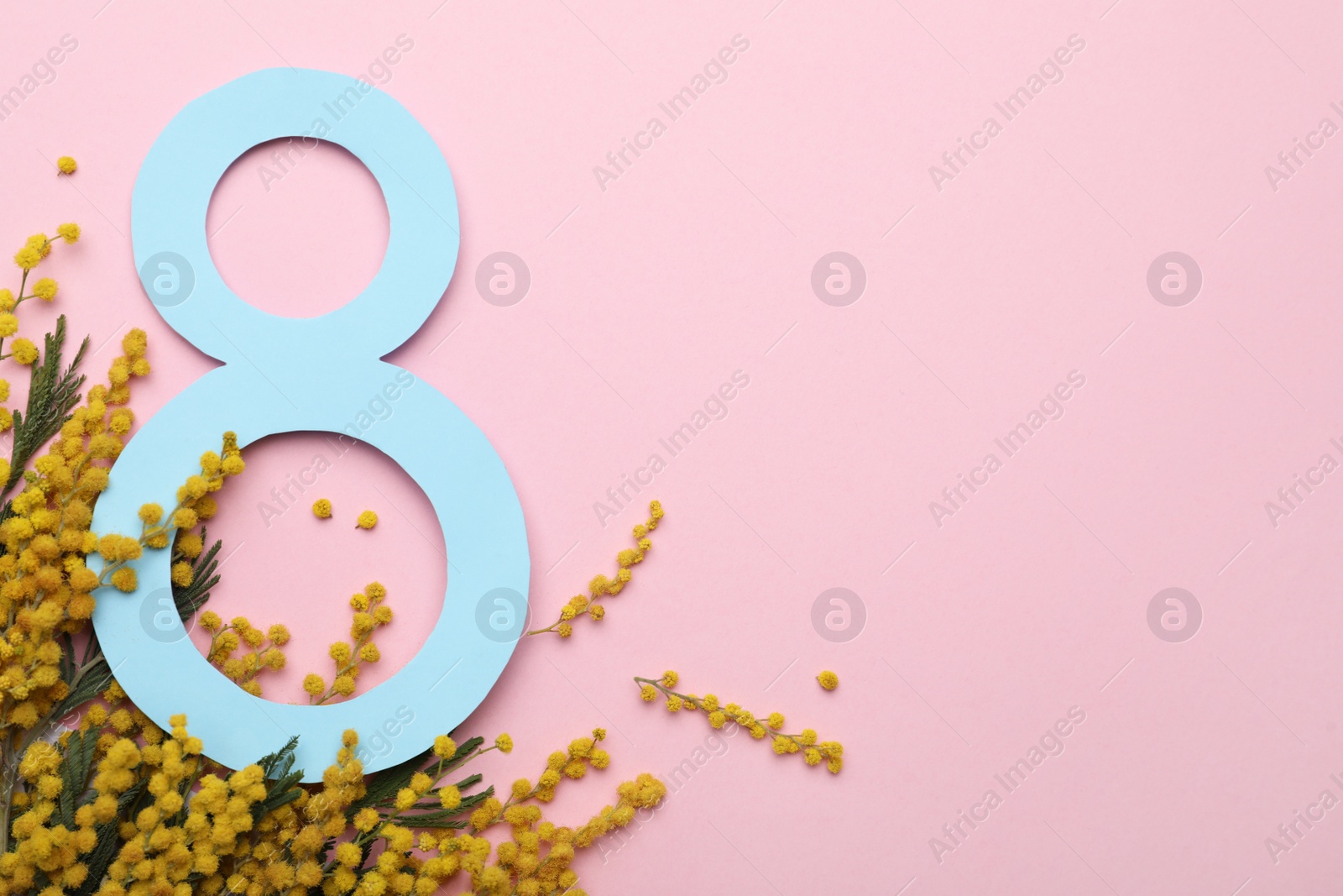 Photo of 8 March greeting card design with beautiful mimosa flowers on pink background, flat lay. Space for text