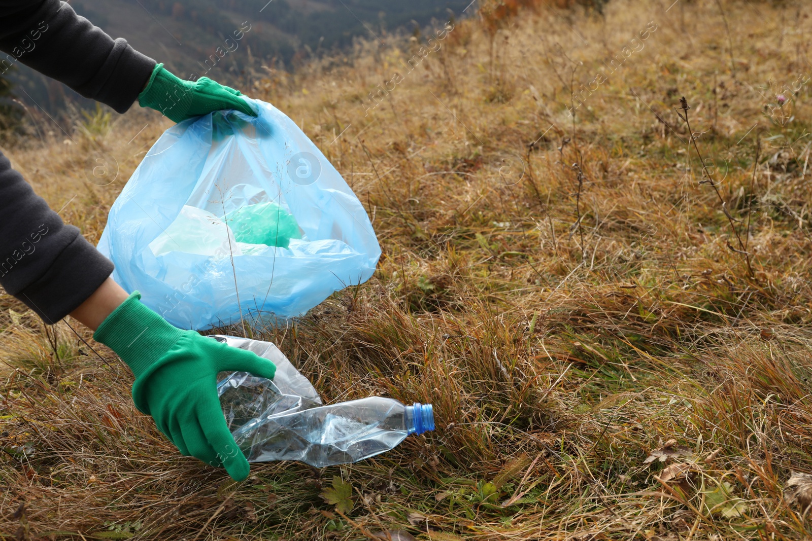 Photo of Woman with trash bag collecting garbage in nature, closeup. Space for text