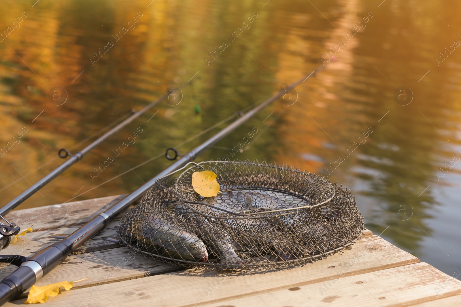 Photo of Fishing rods and fresh fish on wooden pier near pond