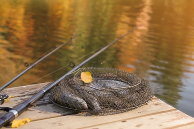 Fishing rods and fresh fish on wooden pier near pond