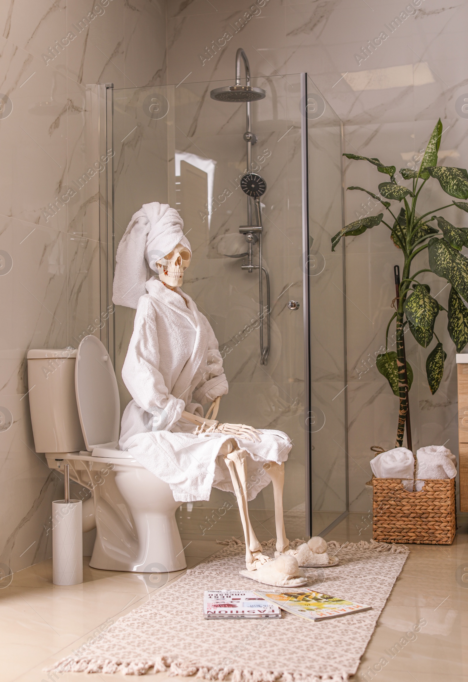 Photo of Skeleton in bathrobe sitting on toilet bowl