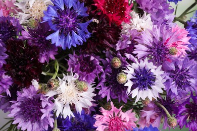 Photo of Beautiful colorful cornflowers as background, closeup view