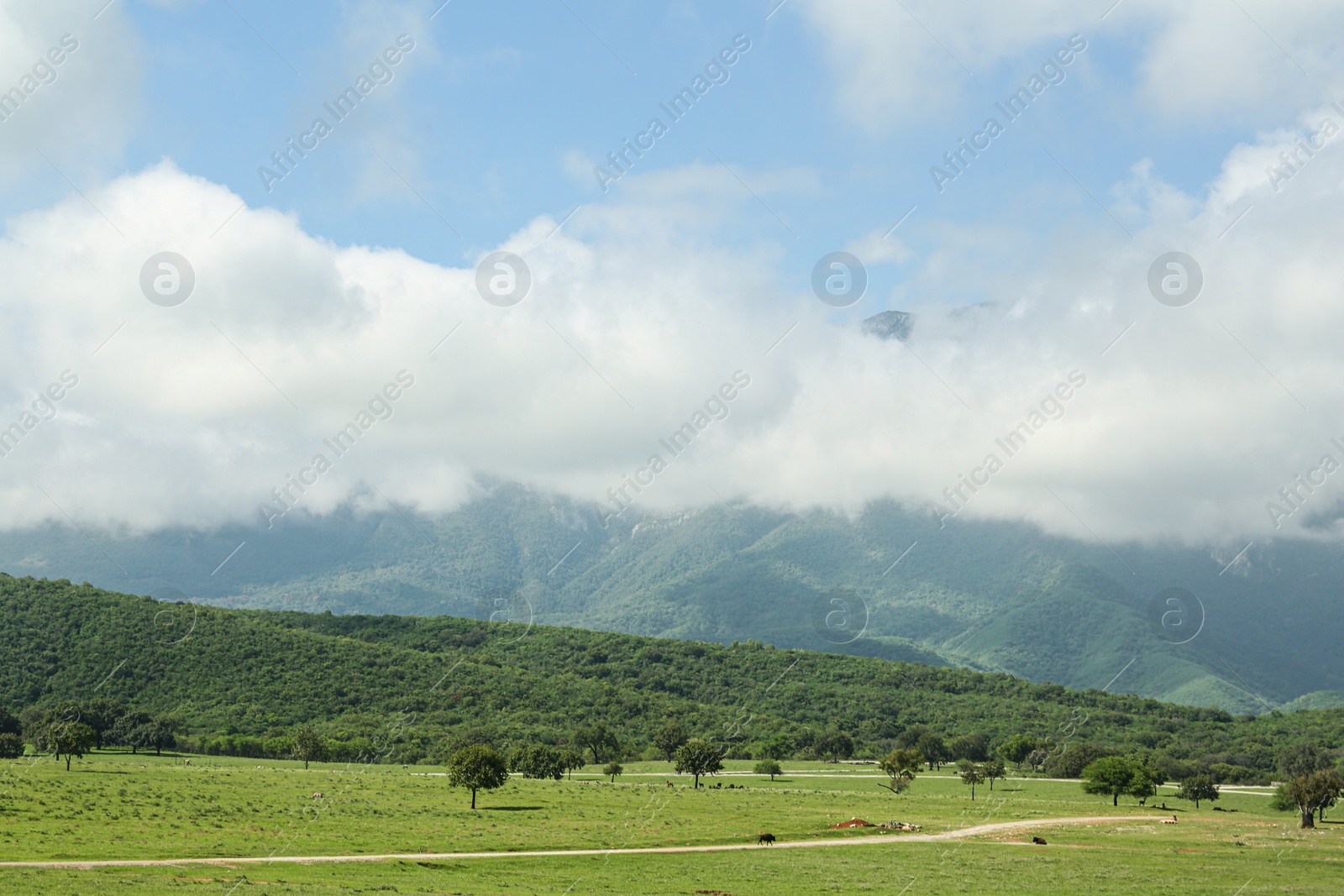 Photo of Picturesque view of mountains and green meadow