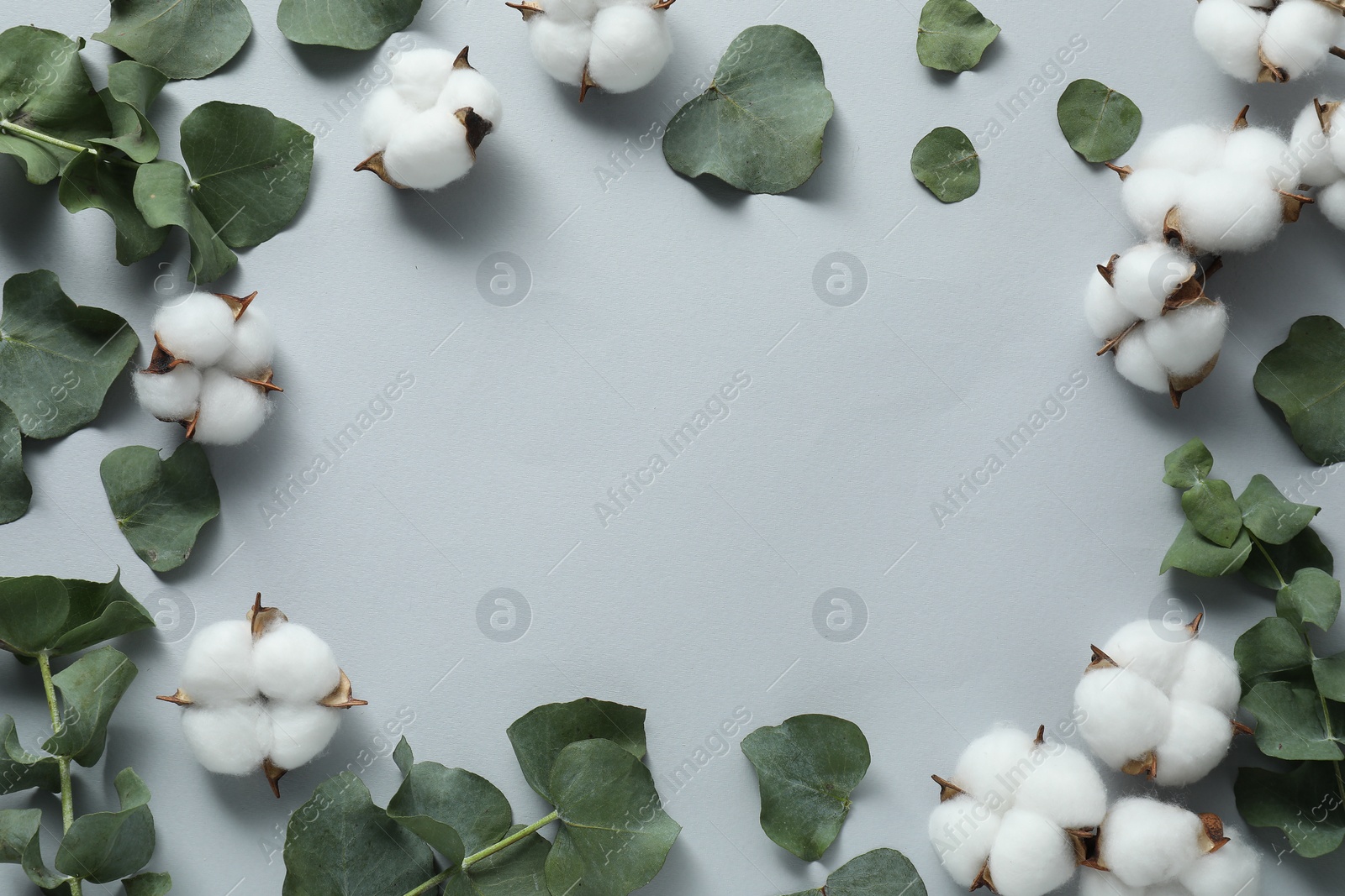 Photo of Frame of cotton flowers and eucalyptus leaves on light grey background, flat lay. Space for text