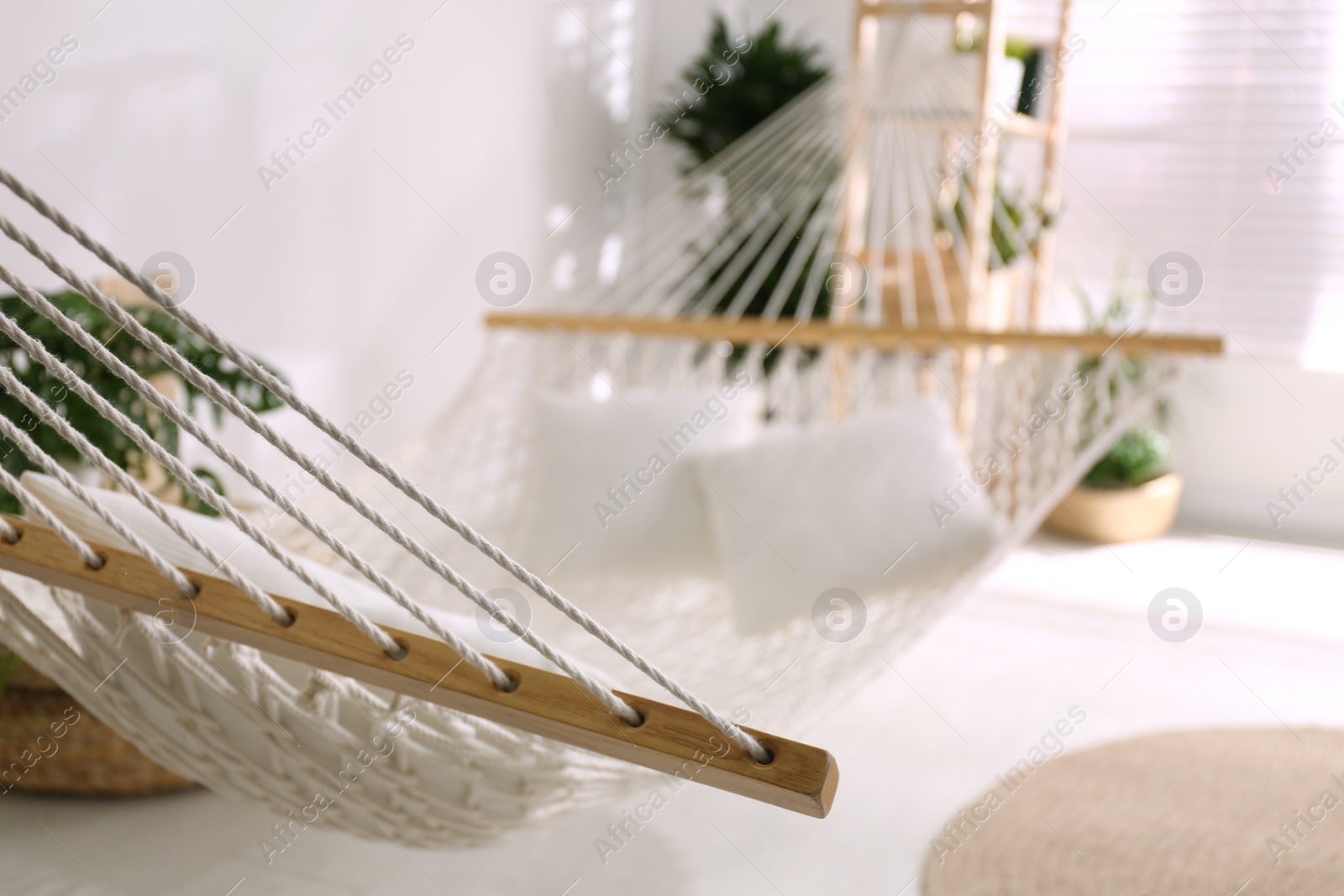 Photo of Comfortable net hammock in stylish room, closeup