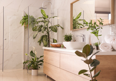 Beautiful green plants in elegant modern bathroom. Interior design