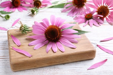 Beautiful echinacea flowers on white wooden table