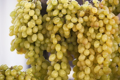 Fresh ripe juicy grapes against blurred background